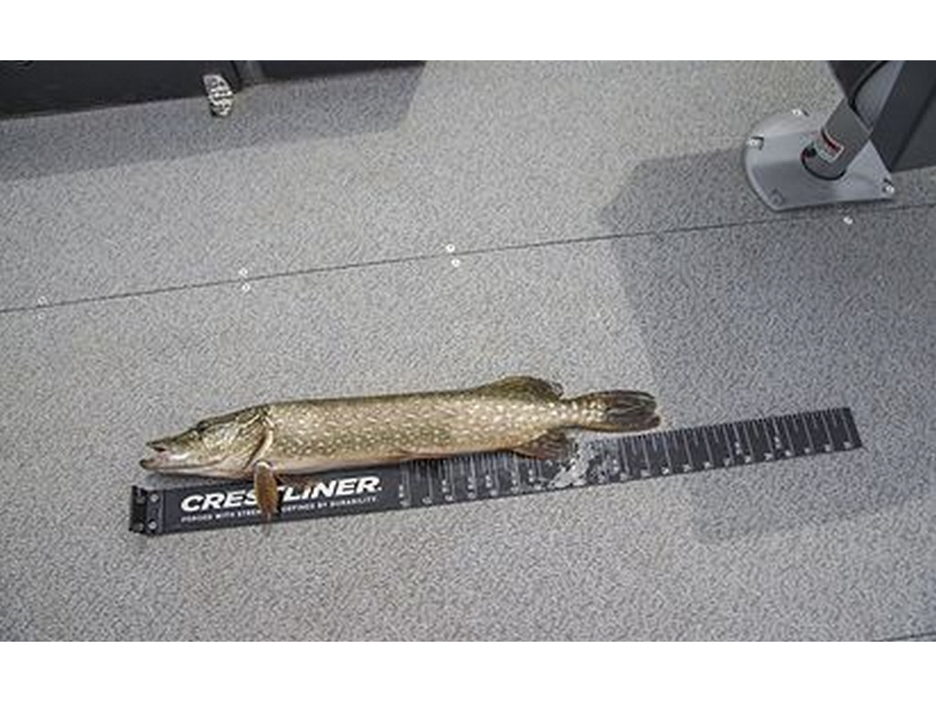Crestliner 1950 FISH HAWK