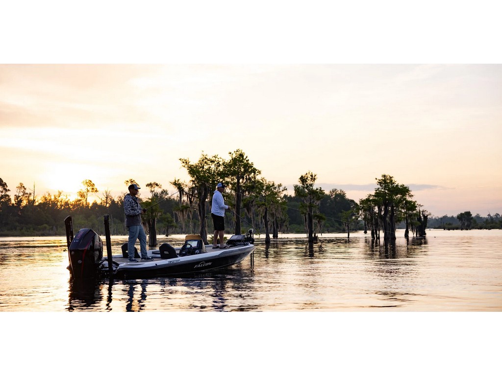 Falcon Boats 21 TE