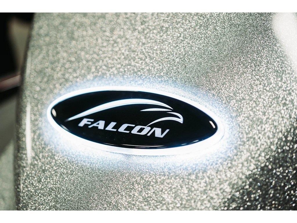 Falcon Boats 20 PREDATOR