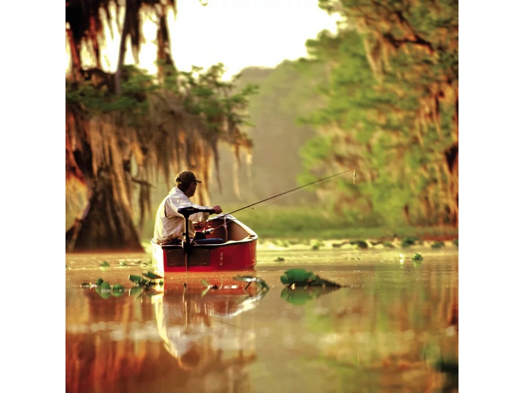 Minn Kota Freshwater: Endura
